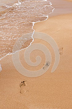 Bare footprints at sunset on golden beach sand. Seashore, wave and footsteps in sunlight. Beauty in nature. Summer