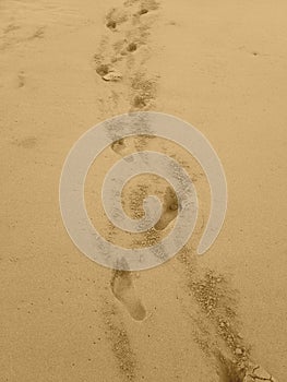 Bare footprints in very soft seasand   in vertical orientation