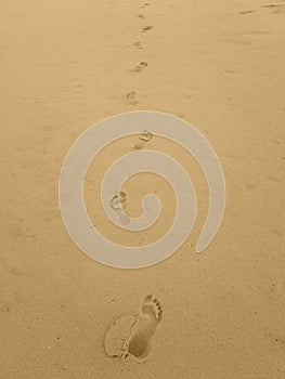 Bare footprints in very soft seasand   in vertical orientation