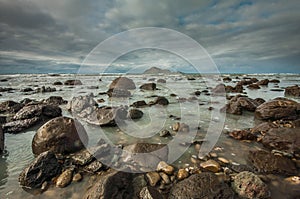 Bare Island (Motu-O-Kura). Hawke's Bay. New Zealand