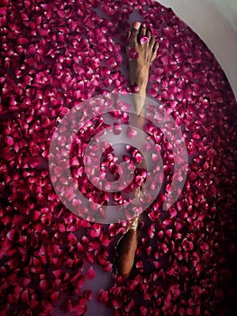 Bare leg of Asian woman exposed above luxury rose petal bath.