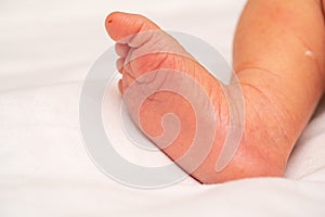 Bare little feet of newborn baby closeup, white background