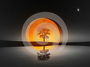 Bare mirrored leafless tree silhouette against orange full moon. Water, land, star, black sky. Sad gloomy mood.