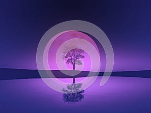 Bare mirrored leafless tree silhouette against purple full moon. Water, land, star, black sky. Sad gloomy mood.