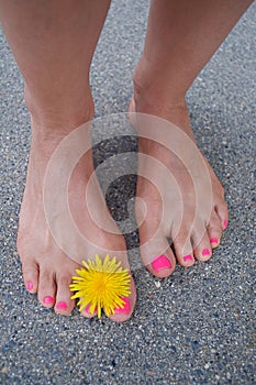 Bare summer feet