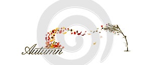 A bare tree is autumn with falling leaves. The tree bends from the wind and foliage flies from it. Vector illustration