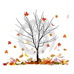 A bare tree is autumn with falling leaves. Vector illustration