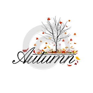 A bare tree is autumn with falling leaves. Vector illustration