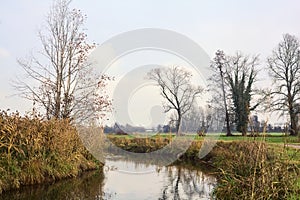 Bare tree on a bend in a stream of water bordered by reeds with reflections of the sky and trees in the water