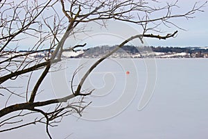 Bare tree branches in front of a frozen lake in winter. Austria. photo