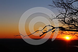 Bare tree branches and horizon in front of the Sun at dusk