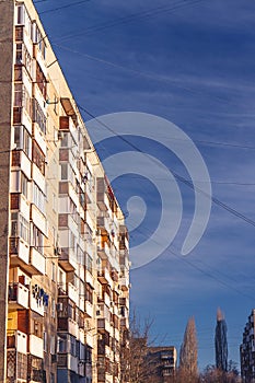 Bare Tree branches over blue sky and fasade building.