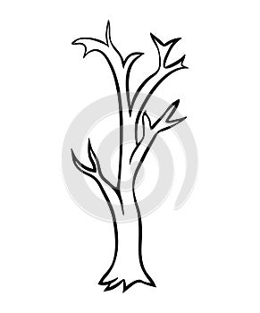 Bare tree cartoon outline vector design isolated on white background photo