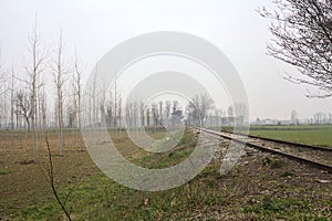 Bare tree by the edge of an abandoned railroad track between fields on a cloudy day in the italian countryside