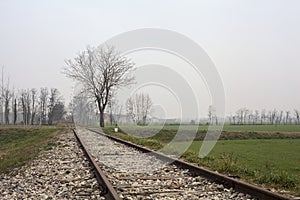 Bare tree by the edge of an abandoned railroad track between fields on a cloudy day in the italian countryside