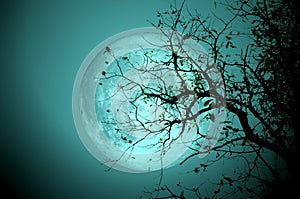 Bare tree on full moon at night. Elements of this image furnished by NASA