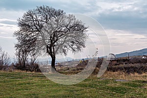 Bare tree and observatory dome at sunset