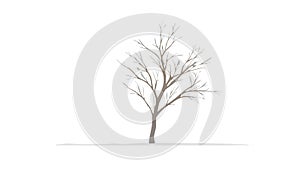A Bare Tree Silhouette, Symbolizing Winter or Dormancy in Nature, vector design Generative AI