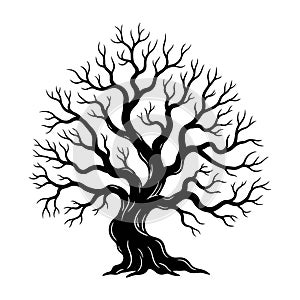 Bare Tree Silhouette Vector Illustration