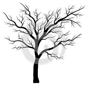 Bare tree silhouette vector symbol icon design.