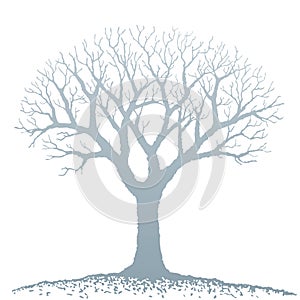 Bare tree (vector)