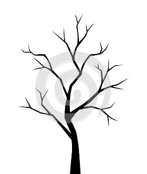 Bare tree. Vector black silhouette.