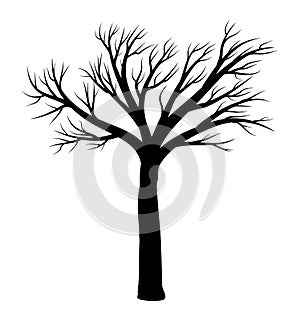 Bare tree vector symbol icon design.