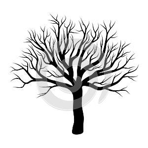 Bare tree winter design isolated on white background