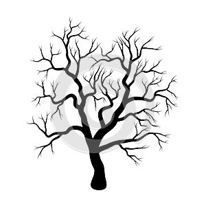 Bare tree winter design isolated on white background