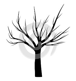 Bare tree winter vector symbol icon design.