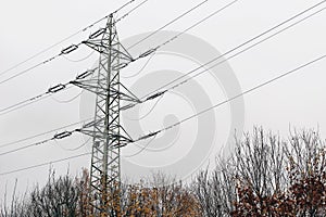 Bare trees against cloudy sky. Very high power transmission. Extra-high voltage 220 kV overhead power lines on large