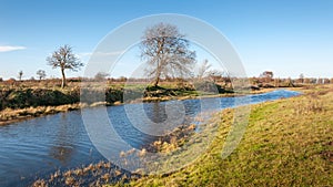 Bare trees along the banks of a small stream