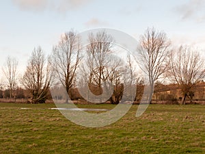 bare trees dedham country autumn winter field outside nature lan