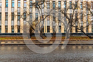 bare trees in front of facade of the building