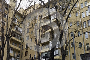 Bare trees in front of old building