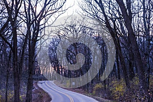 Bare trees and grasses in New Glarus Woods State Park