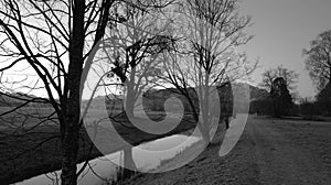 Bare trees and leaned ladder next to a river in black and white