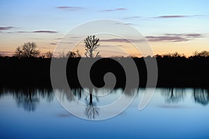 Bare trees reflected in a still river at sunset