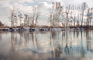 Bare trees reflected on the water and ice surface