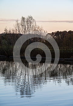 Bare trees reflecting in the calm water of the canal at dusk, Grimbergen, Belgium