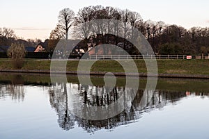 Bare trees reflecting in the calm water of the canal at dusk, Grimbergen, Belgium