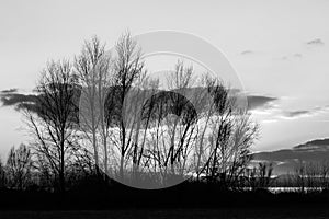 Bare trees silhouette against a beautiful, sunset sky