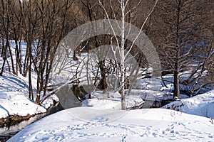 Bare trees and snowdrifts on the banks of a quiet winding forest river  background