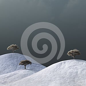 Bare trees in a winter landscape