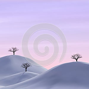 Bare trees in a winter landscape