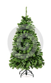 Bare undecorated green Christmas tree photo