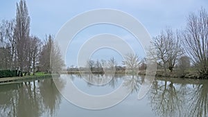Bare willlow and poplar trees reflecting in the water of river Lys