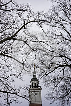 Bare winter tree branches and a bell tower of the a cathedral photographed on a overcast morning