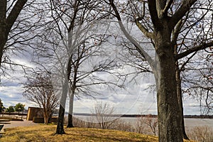 Bare winter trees on the banks of the Mississippi river surrounded by yellow winter grass a sunset with thick clouds and gray sky