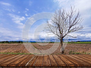 A bare wood floor with fields and trees blurry can be used